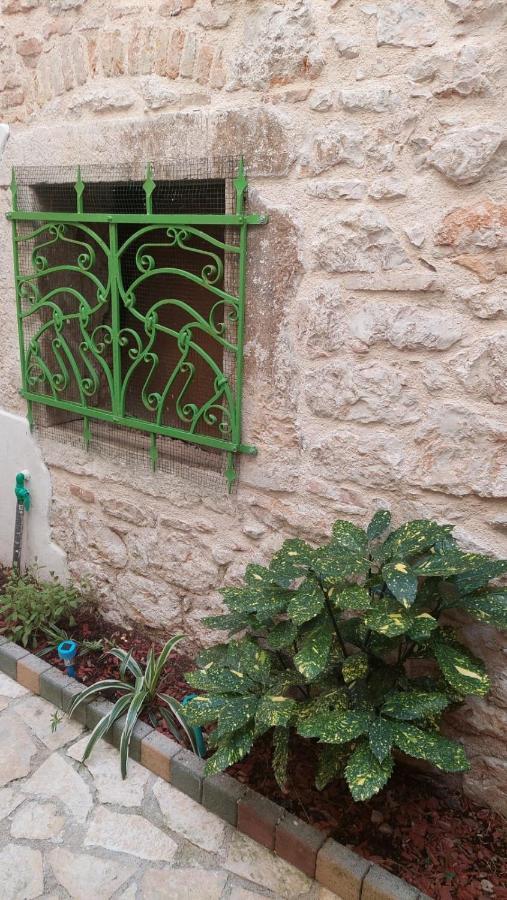Studio With Garden In Rovinj Exterior photo
